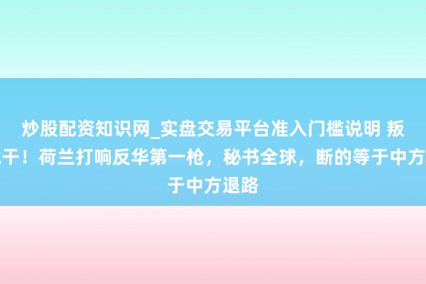 炒股配资知识网_实盘交易平台准入门槛说明 叛逆就干！荷兰打响反华第一枪，秘书全球，断的等于中方退路